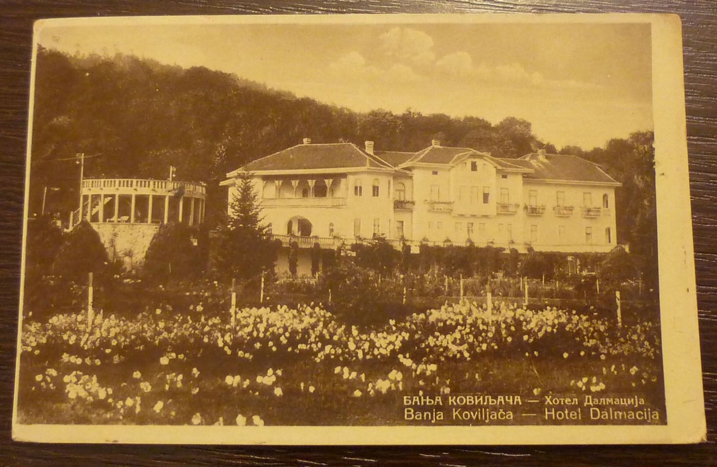 Hotel Dalmacija, stara razglednica, oznaka 1935