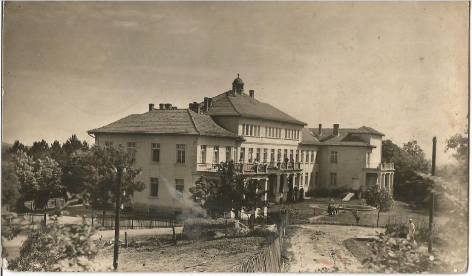 Diskopatija, stara razglednica, oznaka 1952