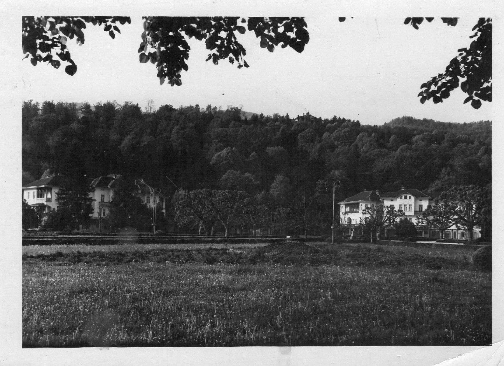Park, stara razglednica, oznaka 1964